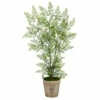 Best Pirce 🌟 Nearly Natural 5.5 Ft. Ruffle Fern Artificial Tree In Farmhouse Planter 🎉
