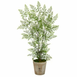 Best Pirce 🌟 Nearly Natural 5.5 Ft. Ruffle Fern Artificial Tree In Farmhouse Planter 🎉