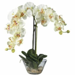 Promo 👏 Nearly Natural Silk Phalaenopsis With Glass Vase Arrangement Purple 🔔 -Nearly Natural Sales unnamed file 1008
