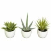 New 👍 Nearly Natural 3-piece Southwest Collection Arrangement Set 🎉 -Nearly Natural Sales unnamed file 1018