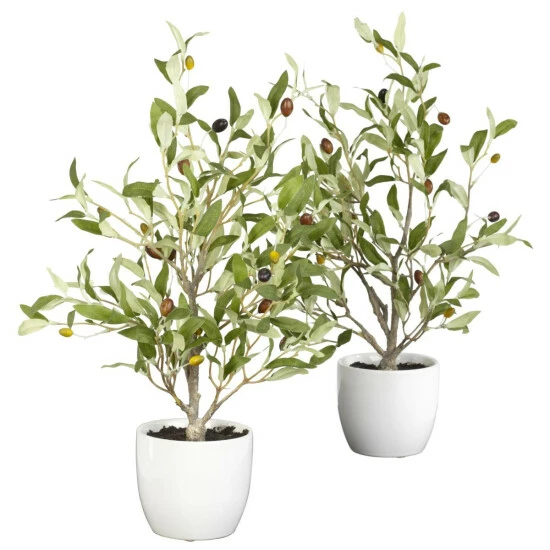 Cheapest π Nearly Natural 18" Olive Tree With Vase Set Of 2 π― 3 Cheapest π Nearly Natural 18" Olive Tree With Vase Set Of 2 π―