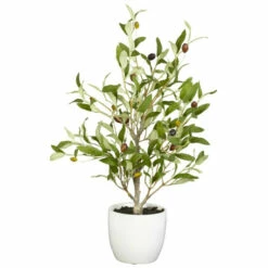 Cheapest π Nearly Natural 18" Olive Tree With Vase Set Of 2 π― 5 Cheapest π Nearly Natural 18" Olive Tree With Vase Set Of 2 π― -Nearly Natural Sales unnamed file 1023