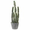 Promo 🌟 Nearly Natural Decorative Cactus Garden With Cement Planter 🎉