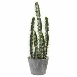 Promo 🌟 Nearly Natural Decorative Cactus Garden With Cement Planter 🎉