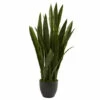 Best Pirce 🛒 Nearly Natural Sansevieria With Black Planter 🔥 -Nearly Natural Sales unnamed file 1035