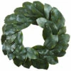 Cheapest 😀 Nearly Natural 24" Magnolia Leaf Wreath 🥰 -Nearly Natural Sales unnamed file 1036