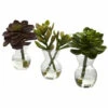 Promo 🤩 Nearly Natural Succulent Arrangements Set Of 3 ⭐
