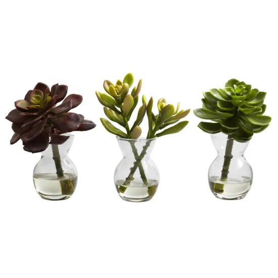 Promo π€© Nearly Natural Succulent Arrangements Set Of 3 β 4 Promo π€© Nearly Natural Succulent Arrangements Set Of 3 β - Image 2