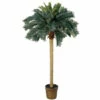 Best Pirce 😉 Nearly Natural 6' Sago Silk Palm Tree ⌛ -Nearly Natural Sales unnamed file 1048