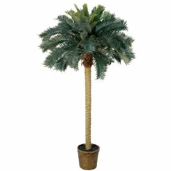 Best Pirce 😉 Nearly Natural 6' Sago Silk Palm Tree ⌛