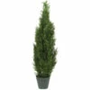 Top 10 ✔️ Nearly Natural 4' Cedar Tree Silk Tree 😍 -Nearly Natural Sales unnamed file 1051