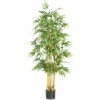 Coupon 🌟 Nearly Natural 64" Bamboo Silk Tree 🤩 -Nearly Natural Sales unnamed file 1056
