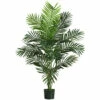 Hot Sale βοΈ Nearly Natural 5' Paradise Palm Tree With 12 Leaves π 2 Hot Sale βοΈ Nearly Natural 5' Paradise Palm Tree With 12 Leaves π -Nearly Natural Sales unnamed file 1059