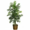 Best reviews of 👍 Nearly Natural 56" Areca Tree With Basket ✔️ -Nearly Natural Sales unnamed file 1062