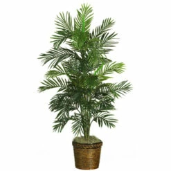 Best reviews of 👍 Nearly Natural 56" Areca Tree With Basket ✔️