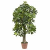 Deals π Nearly Natural 4' Schefflera Silk Tree Real Touch π€© 2 Deals π Nearly Natural 4' Schefflera Silk Tree Real Touch π€© -Nearly Natural Sales unnamed file 1072