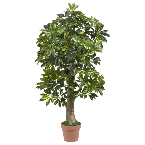 Deals π Nearly Natural 4' Schefflera Silk Tree Real Touch π€© 3 Deals π Nearly Natural 4' Schefflera Silk Tree Real Touch π€©