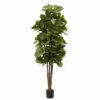 Coupon 🧨 Nearly Natural 6 Ft. Fiddle Leaf Fig Silk Tree 😀 -Nearly Natural Sales unnamed file 1076