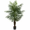 Promo β Nearly Natural 5 Ft. Areca Palm Tree π 2 Promo β Nearly Natural 5 Ft. Areca Palm Tree π -Nearly Natural Sales unnamed file 1082