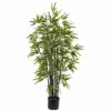 Buy π Nearly Natural 4 Ft. Black Bamboo Tree π 2 Buy π Nearly Natural 4 Ft. Black Bamboo Tree π -Nearly Natural Sales unnamed file 1083