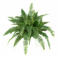 Buy 😀 Nearly Natural Boston Fern Set Of 2 💯