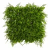 Budget π Nearly Natural 20 In. X 20 In. Lush Mediterranean Artificial Fern Wall Panel π₯ 2 Budget π Nearly Natural 20 In. X 20 In. Lush Mediterranean Artificial Fern Wall Panel π₯ -Nearly Natural Sales unnamed file 1106