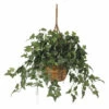 Budget π Nearly Natural English Ivy Hanging Basket Silk Plant βοΈ 1 Budget π Nearly Natural English Ivy Hanging Basket Silk Plant βοΈ -Nearly Natural Sales unnamed file 1107