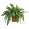 Brand new β€οΈ Nearly Natural Boston Fern With Wood Wicker Basket Silk Plant β 1 Brand new β€οΈ Nearly Natural Boston Fern With Wood Wicker Basket Silk Plant β -Nearly Natural Sales unnamed file 1108