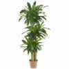 Promo ❤️ Nearly Natural 57 In. Corn Stalk Dracaena Silk Plant Real Touch 👏 -Nearly Natural Sales unnamed file 1110