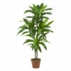 Promo π Nearly Natural 4 Ft. Dracaena Real Touch π₯ 2 Promo π Nearly Natural 4 Ft. Dracaena Real Touch π₯ -Nearly Natural Sales unnamed file 1111