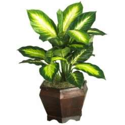 Best Sale 🥰 Nearly Natural Golden Dieffenbachia With Wood Vase 💯