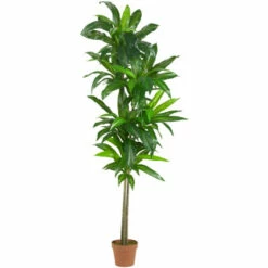 Promo 🌟 Nearly Natural 6 Ft. Dracaena Silk Plant Real Touch 🤩