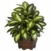 Brand new ⌛ Nearly Natural Golden Dieffenbachia Silk Plant 🎁 -Nearly Natural Sales unnamed file 1124