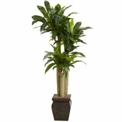 Promo 🎉 Nearly Natural 4 Ft. Cornstalk Draceana With Vase 🌟