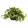 Brand new ⌛ Nearly Natural Pothos With Decorative Vase Silk Plant 👍 -Nearly Natural Sales unnamed file 1127