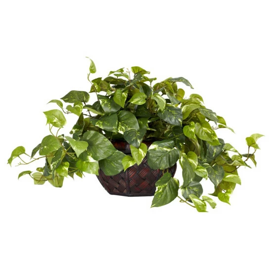 Brand new β Nearly Natural Pothos With Decorative Vase Silk Plant π 3 Brand new β Nearly Natural Pothos With Decorative Vase Silk Plant π