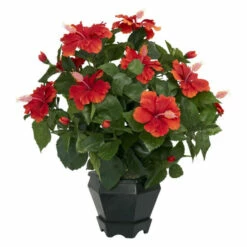 Promo 🎉 Nearly Natural Hibiscus With Black Hexagon Vase Silk Plant 🎁