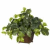 Cheap π Nearly Natural Pothos With Coiled Rope Planter Silk Plant π€© 1 Cheap π Nearly Natural Pothos With Coiled Rope Planter Silk Plant π€© -Nearly Natural Sales unnamed file 1130