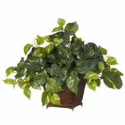 Cheap 🎉 Nearly Natural Pothos With Coiled Rope Planter Silk Plant 🤩