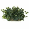 Flash Sale βοΈ Nearly Natural Ivy Set On Foam Sheet Silk Plant π€© 1 Flash Sale βοΈ Nearly Natural Ivy Set On Foam Sheet Silk Plant π€© -Nearly Natural Sales unnamed file 1131