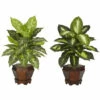 Outlet 😉 Nearly Natural Dieffenbachia With Wood Vase Silk Plant Set Of 2 Assorted 🧨 -Nearly Natural Sales unnamed file 1133