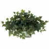 Best Pirce ⌛ Nearly Natural Ivy With White Wash Planter Silk Plant 🛒