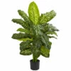 Budget π Nearly Natural 42β Artificial Real Touch Dieffenbachia Plant π₯ 1 Budget π Nearly Natural 42β Artificial Real Touch Dieffenbachia Plant π₯ -Nearly Natural Sales unnamed file 114