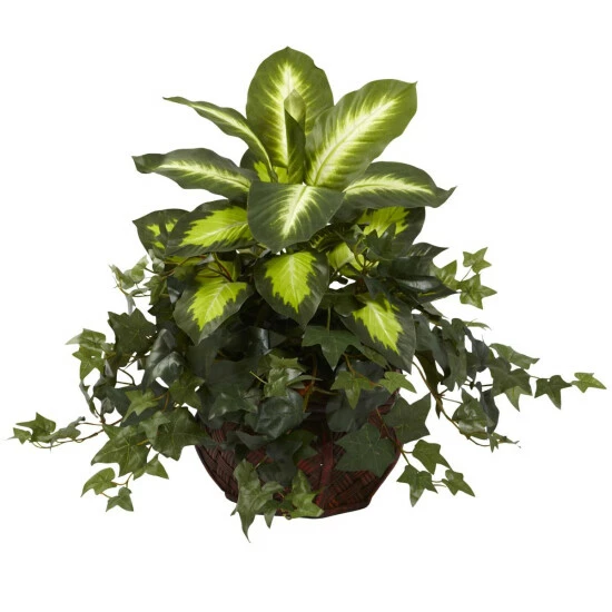 Cheap π― Nearly Natural Dieffenbachia And Ivy With Decorative Planter π 3 Cheap π― Nearly Natural Dieffenbachia And Ivy With Decorative Planter π