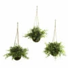 Brand new 🧨 Nearly Natural Eucalyptus, Maiden Hair And Berry Hanging Basket Set Of 3 💯 -Nearly Natural Sales unnamed file 1142