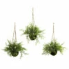 Best Pirce 🎁 Nearly Natural Ruscus, Sedum And Springeri Hanging Basket Set Of 3 🎁 -Nearly Natural Sales unnamed file 1143