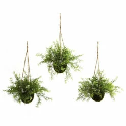 Best Pirce 🎁 Nearly Natural Ruscus, Sedum And Springeri Hanging Basket Set Of 3 🎁