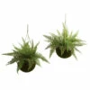 Promo 👏 Nearly Natural Leather Fern With Mossy Hanging Basket Set Of 2 👏 -Nearly Natural Sales unnamed file 1144