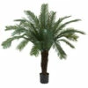 Brand new π Nearly Natural 5 Ft. Cycas Tree βοΈ 1 Brand new π Nearly Natural 5 Ft. Cycas Tree βοΈ -Nearly Natural Sales unnamed file 1147