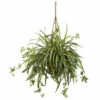Best Sale 👍 Nearly Natural Spider Plant Hanging Basket ❤️ -Nearly Natural Sales unnamed file 1153